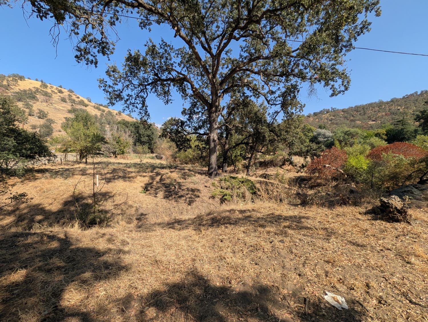 36197 Mistletoe Road Squaw Valley, CA 93675 - Photo 4 of 14 Gallery Image 4
