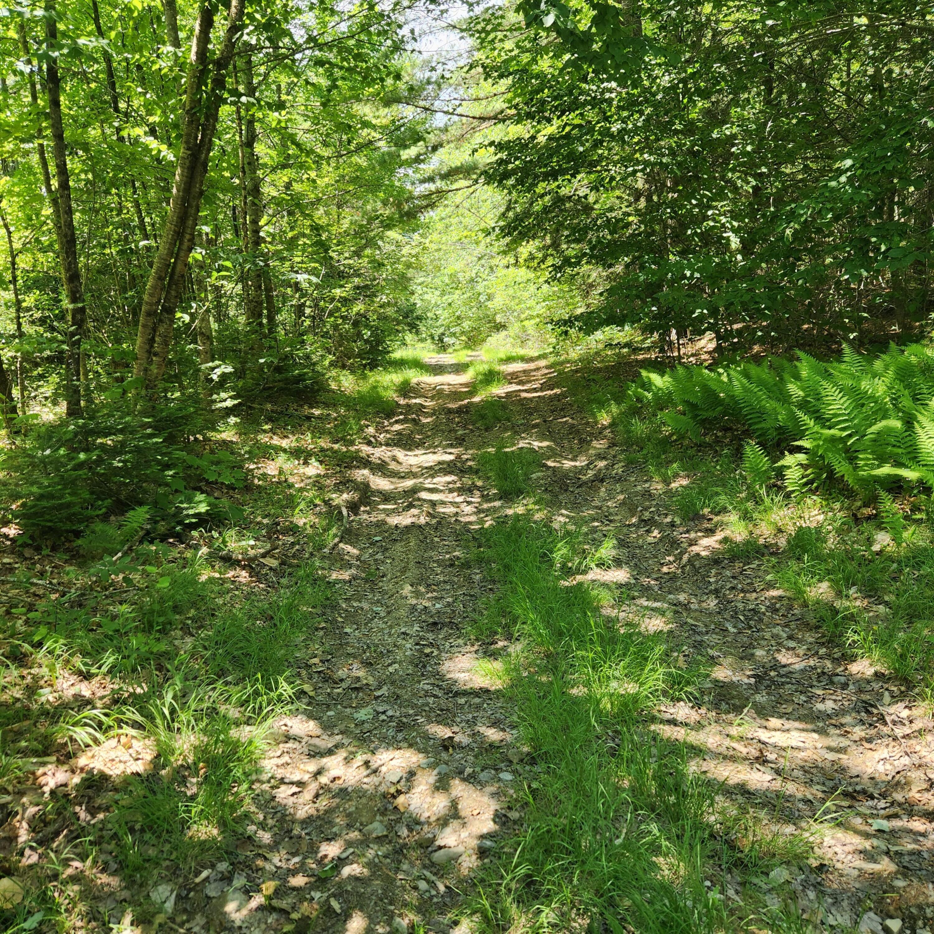 10 Carr Road Burlington, ME 04417 - Photo 16 of 21 20250627_132315