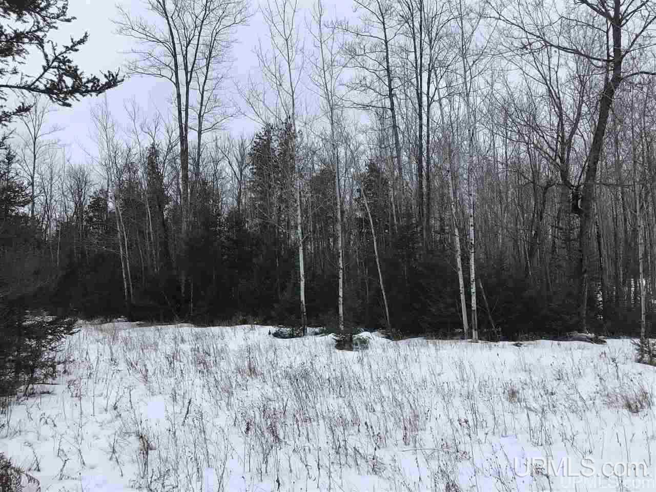 Tbd Swamp Road Powers, MI 49874 - Photo 6 of 30