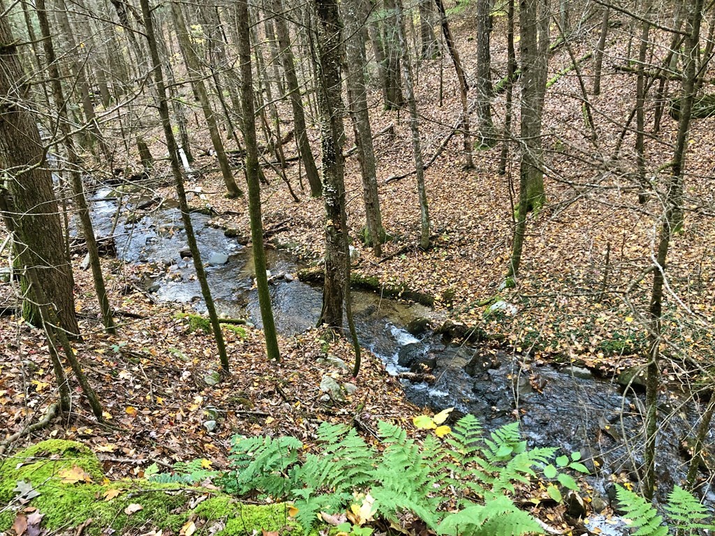 0 Brush Valley Road Warwick, MA 01378 - Photo 12 of 18 Gallery Image 12