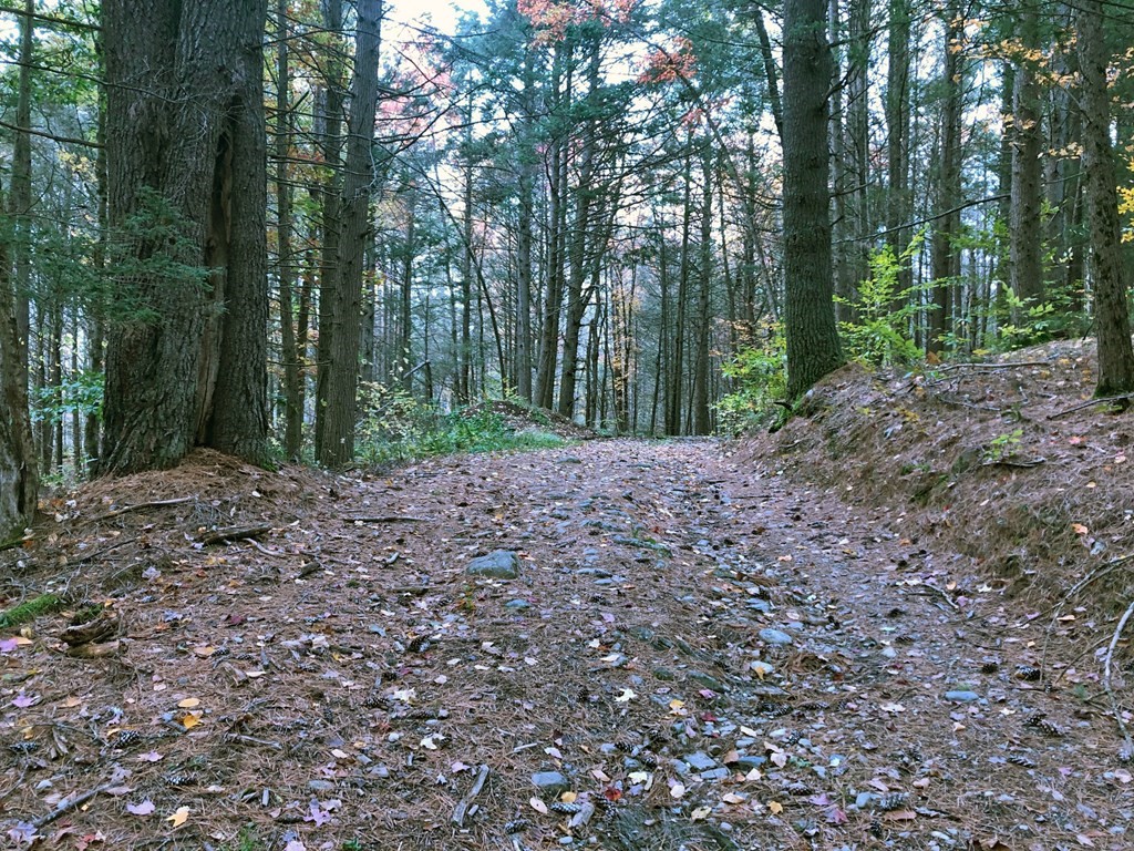 0 Brush Valley Road Warwick, MA 01378 - Photo 16 of 18 Gallery Image 16