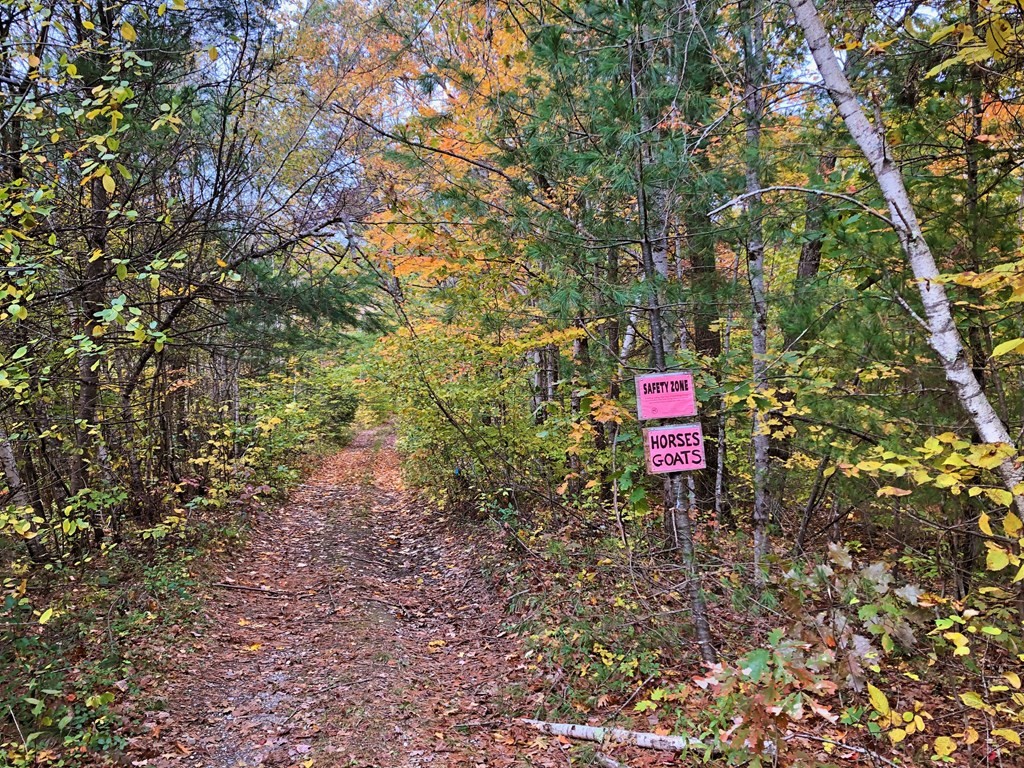 0 Brush Valley Road Warwick, MA 01378 - Photo 2 of 18 Gallery Image 2