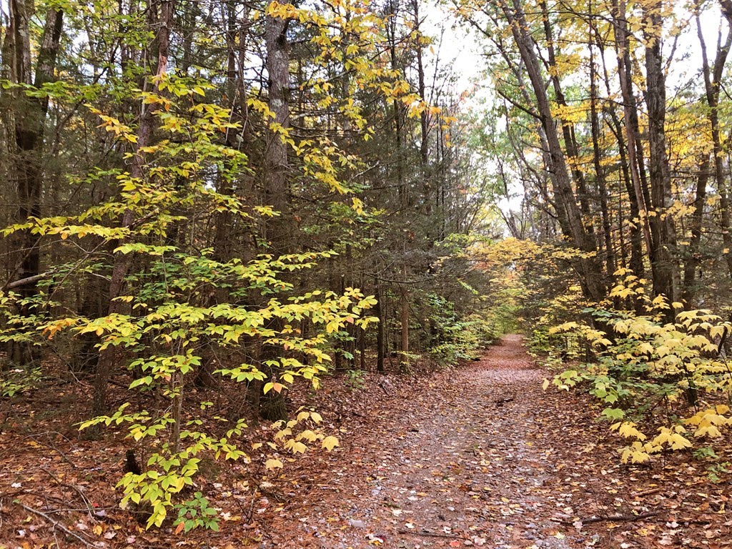 0 Brush Valley Road Warwick, MA 01378 - Photo 4 of 18 Gallery Image 4