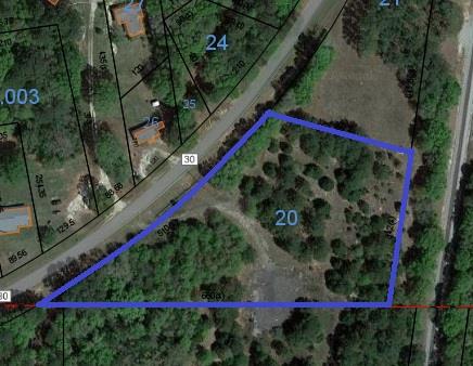 0 Dale Cty Road Ozark, AL 36360 - Photo 1 of 4