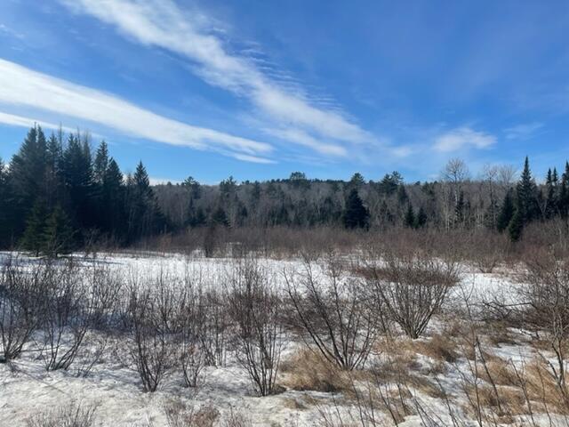 0 Wellington Road Harmony, ME 04942 - Photo 2 of 5 IMG_4506