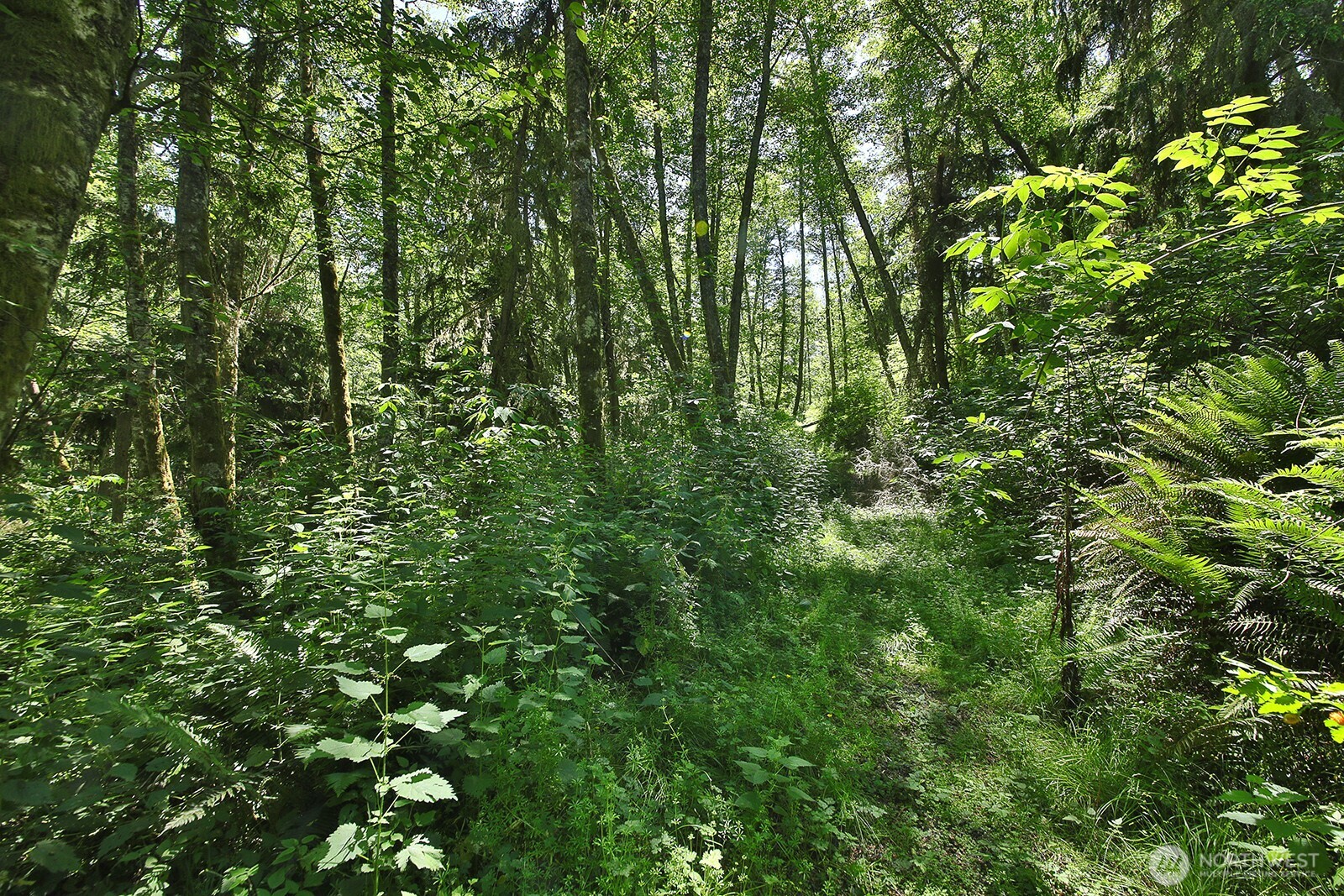-xxxx Goss Ridge Road Freeland, WA 98249 - Photo 4 of 11