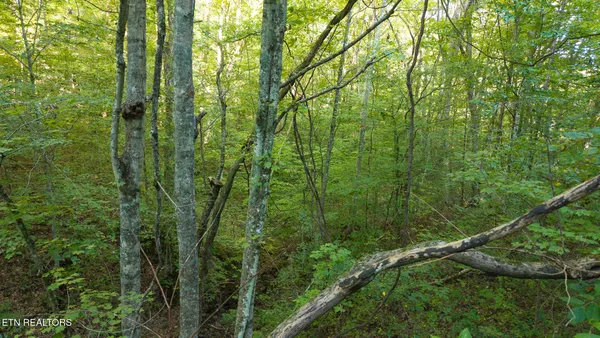 $110,000 | 32.38-ac Panther Creek Road, Sneedville, TN 37869