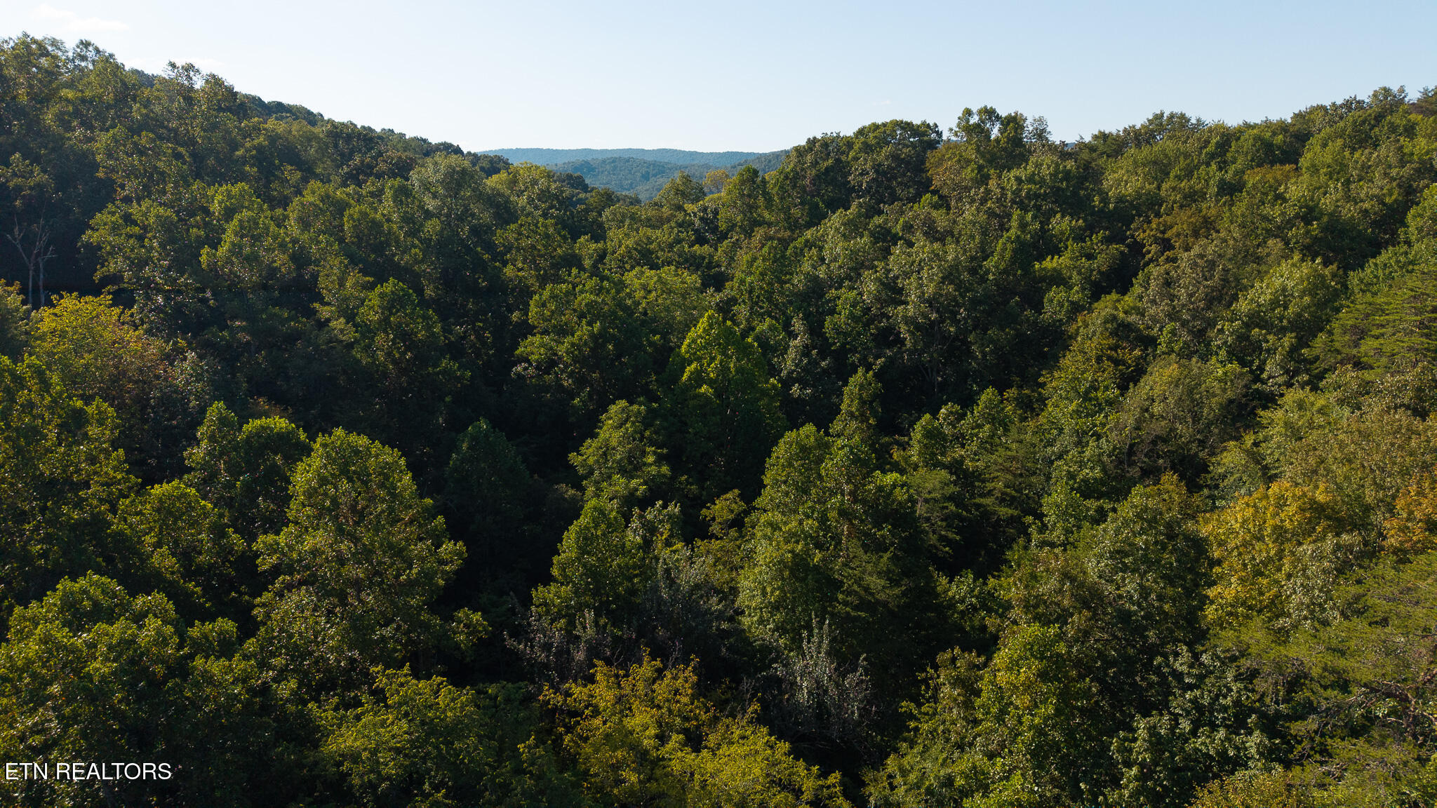 32.38-ac Panther Creek Road Sneedville, TN 37869 - Photo 2 of 28 DJI_20250830173530_0376_D
