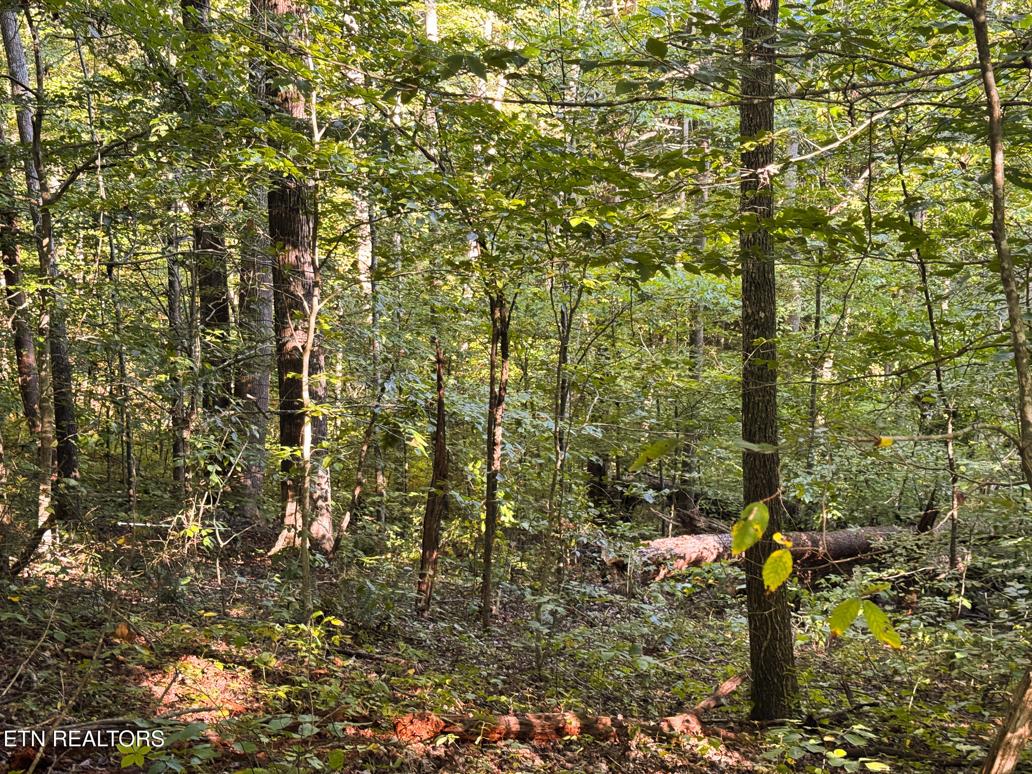 32.38-ac Panther Creek Road Sneedville, TN 37869 - Photo 26 of 28 IMG_0019