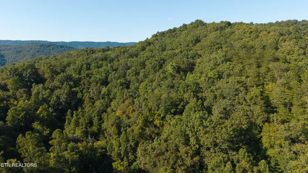 $110,000 | 32.38-ac Panther Creek Road, Sneedville, TN 37869