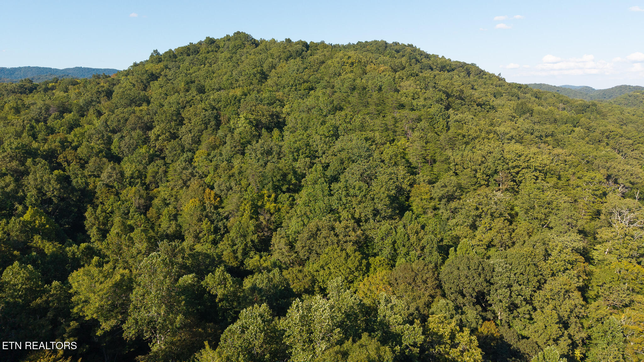 32.38-ac Panther Creek Road Sneedville, TN 37869 - Photo 5 of 28 DJI_20250830173654_0380_D