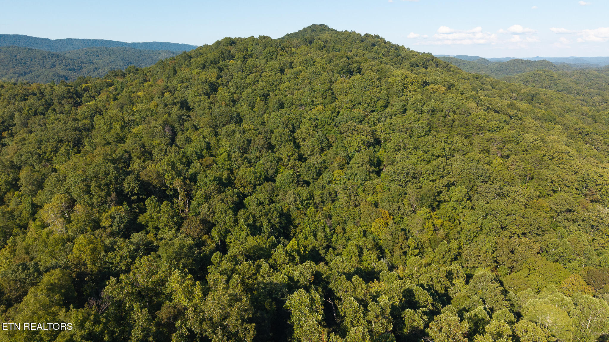 32.38-ac Panther Creek Road Sneedville, TN 37869 - Photo 6 of 28 DJI_20250830173739_0382_D