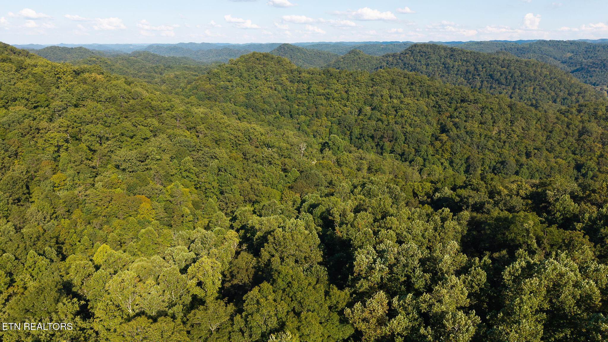 32.38-ac Panther Creek Road Sneedville, TN 37869 - Photo 7 of 28 DJI_20250830173811_0384_D