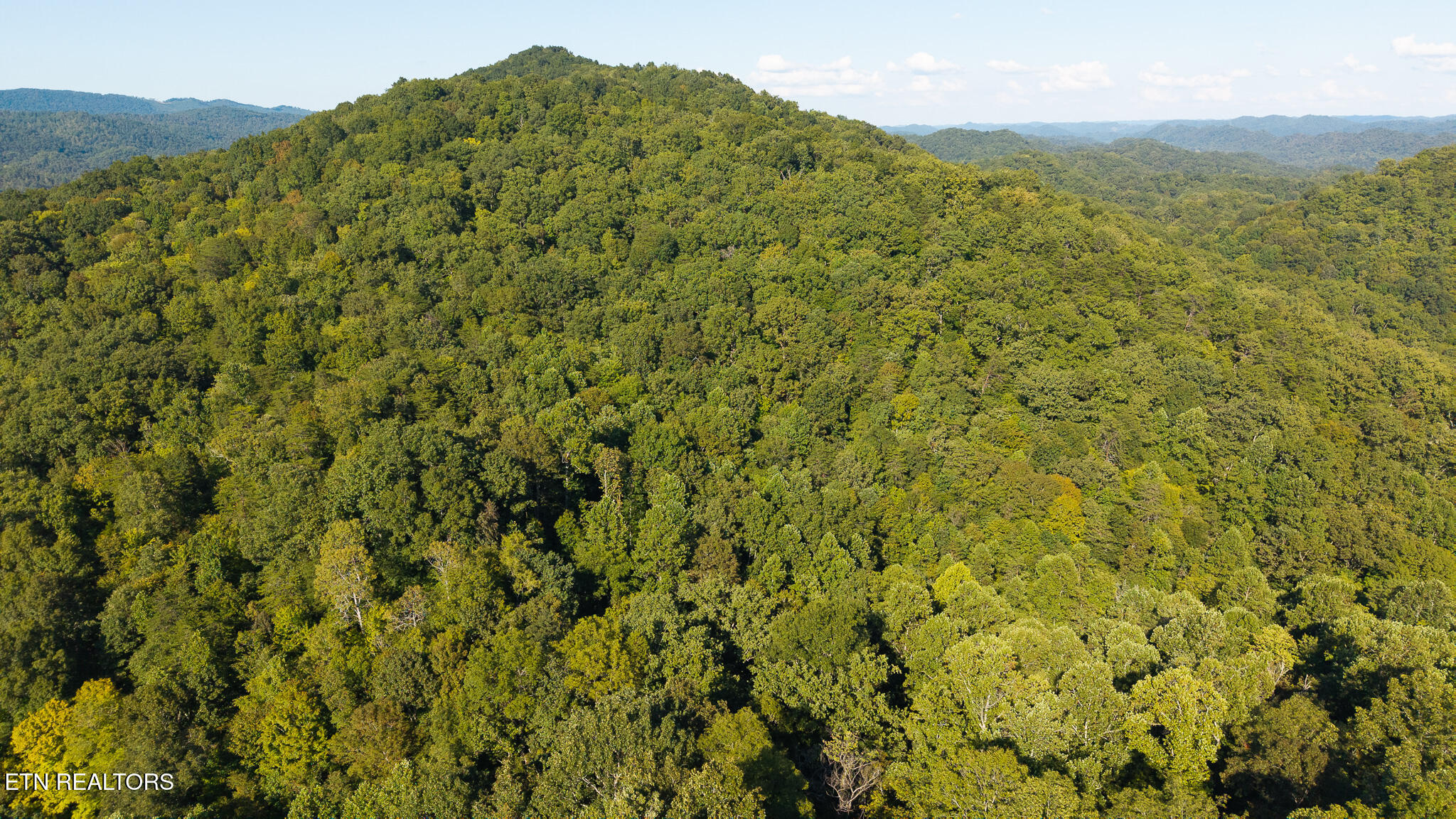 32.38-ac Panther Creek Road Sneedville, TN 37869 - Photo 8 of 28 DJI_20250830173818_0385_D