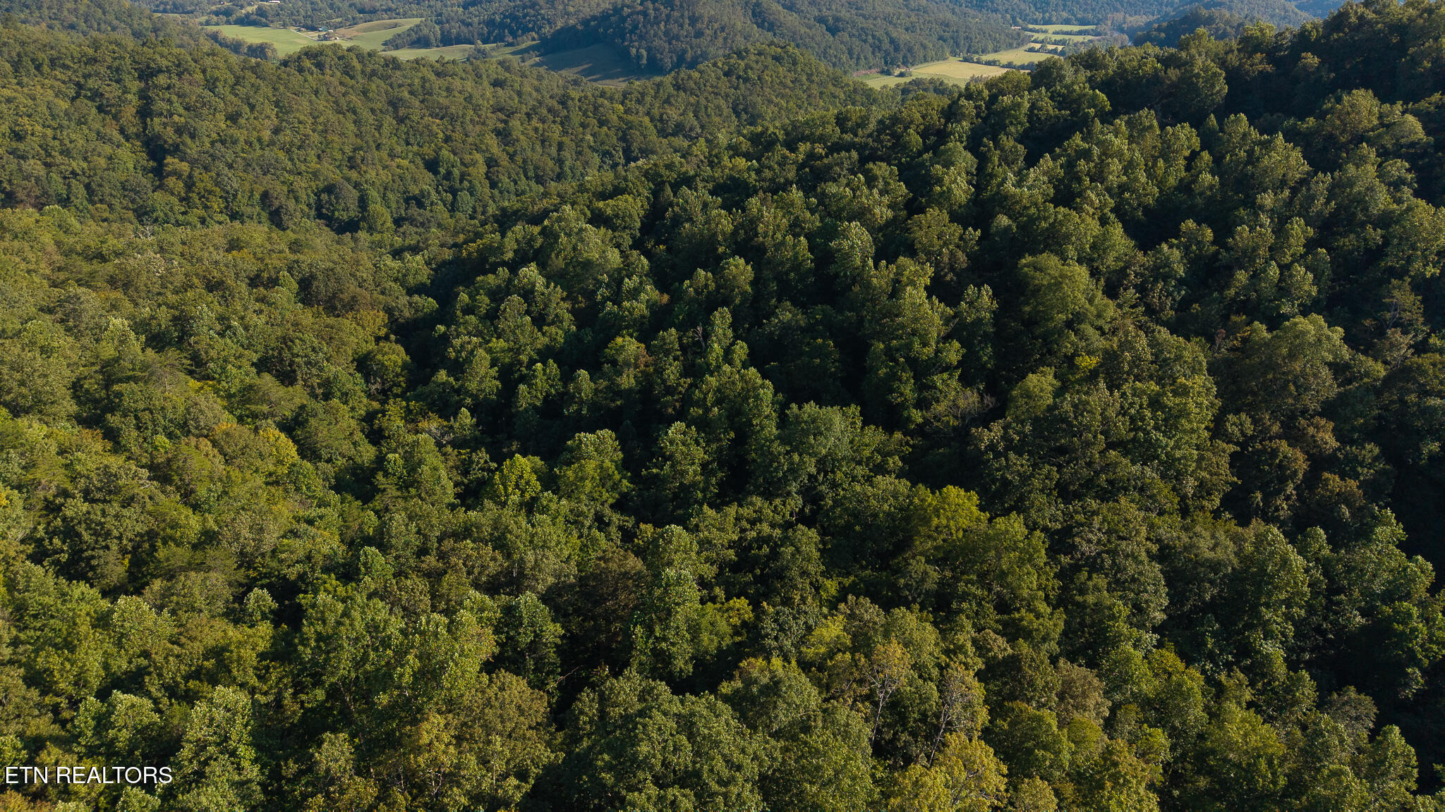 32.38-ac Panther Creek Road Sneedville, TN 37869 - Photo 9 of 28 DJI_20250830173840_0386_D