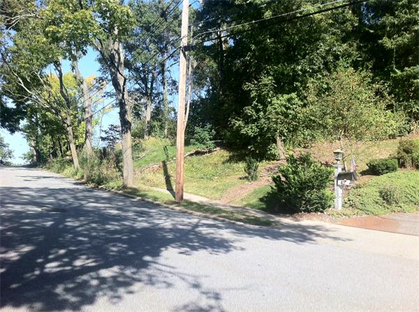 0 Drumlin Road Newton, MA 02459 - Photo 1 of 2 a view of a yard with plants and trees
