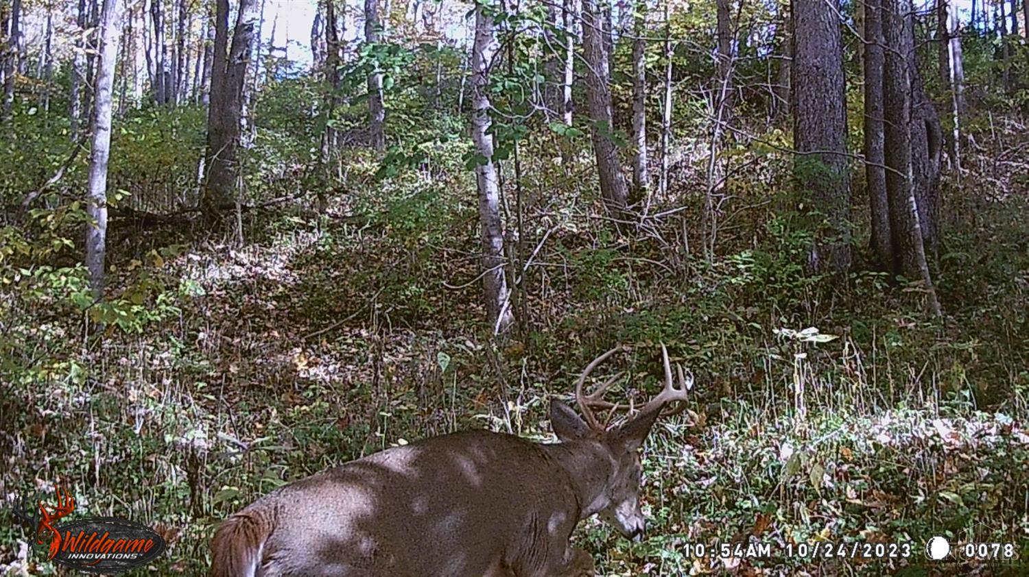 514 Felicity Cedron Rural Road Georgetown, OH 45121 - Photo 27 of 30