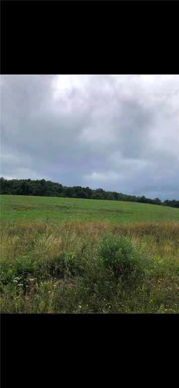 372 Center Gas Road New Salem, PA 15468 - Photo 31 of 33 a view of yard and ocean