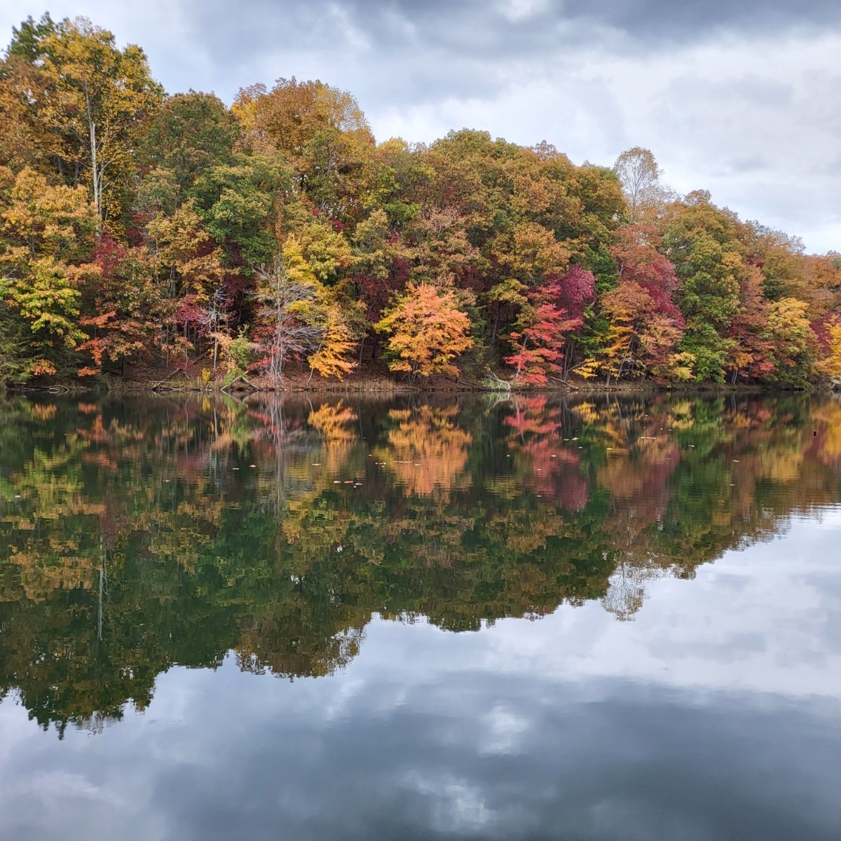 354 Mountain Farms Road Signal Mountain, TN 37377 - Photo 65 of 74 a view of a lake with mountains in the background