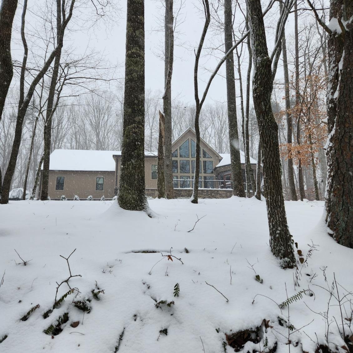 354 Mountain Farms Road Signal Mountain, TN 37377 - Photo 69 of 74