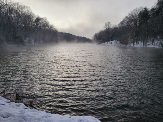 354 Mountain Farms Road Signal Mountain, TN 37377 - Photo 71 of 74 a view of water pond with lots of trees