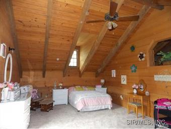 3560 Brown Road Brighton, IL 62012 - Photo 13 of 24