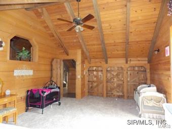 3560 Brown Road Brighton, IL 62012 - Photo 14 of 24