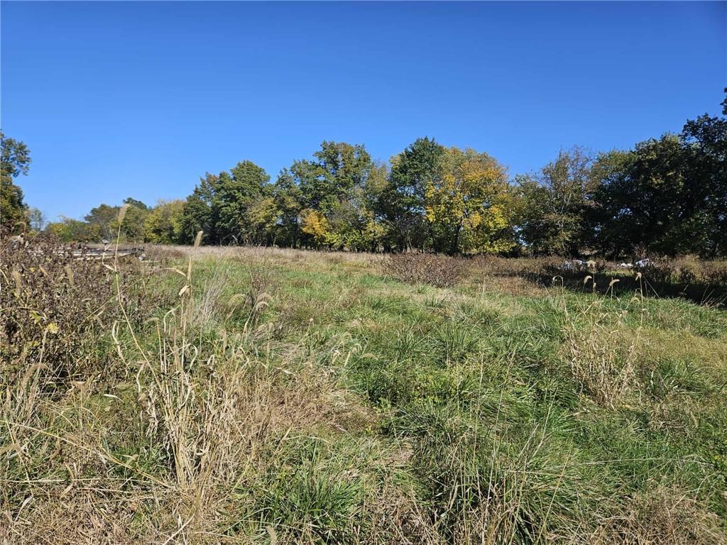 16003 East Katy Track Road Nevada, MO 64772 - Photo 6 of 27