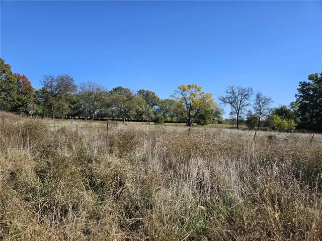 $375,000 | 16003 East Katy Track Road, Nevada, MO 64772