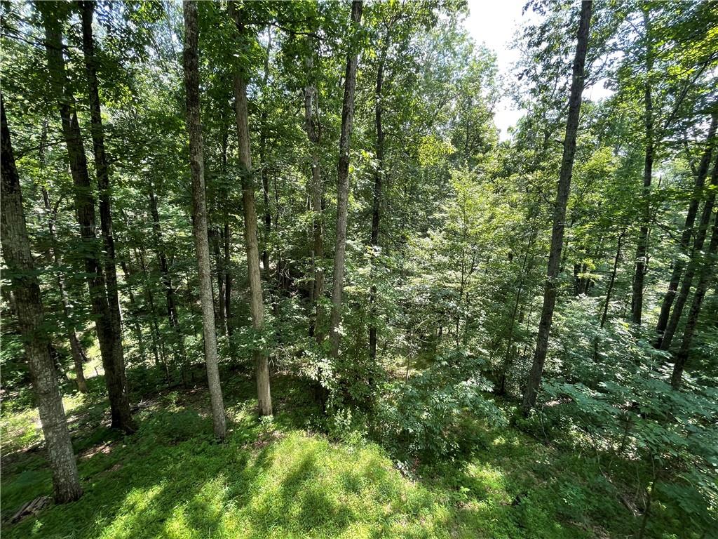 4187 Kelly Reed Road Nashville, IN 47448 - Photo 10 of 15 Gallery Image 10