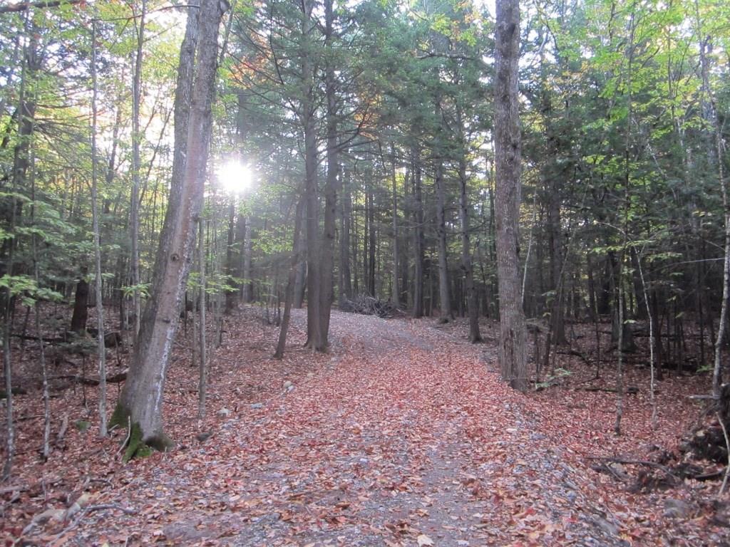 24 Pine Tree Road Litchfield, ME 04350 - Photo 3 of 35 Heading in to the property after...