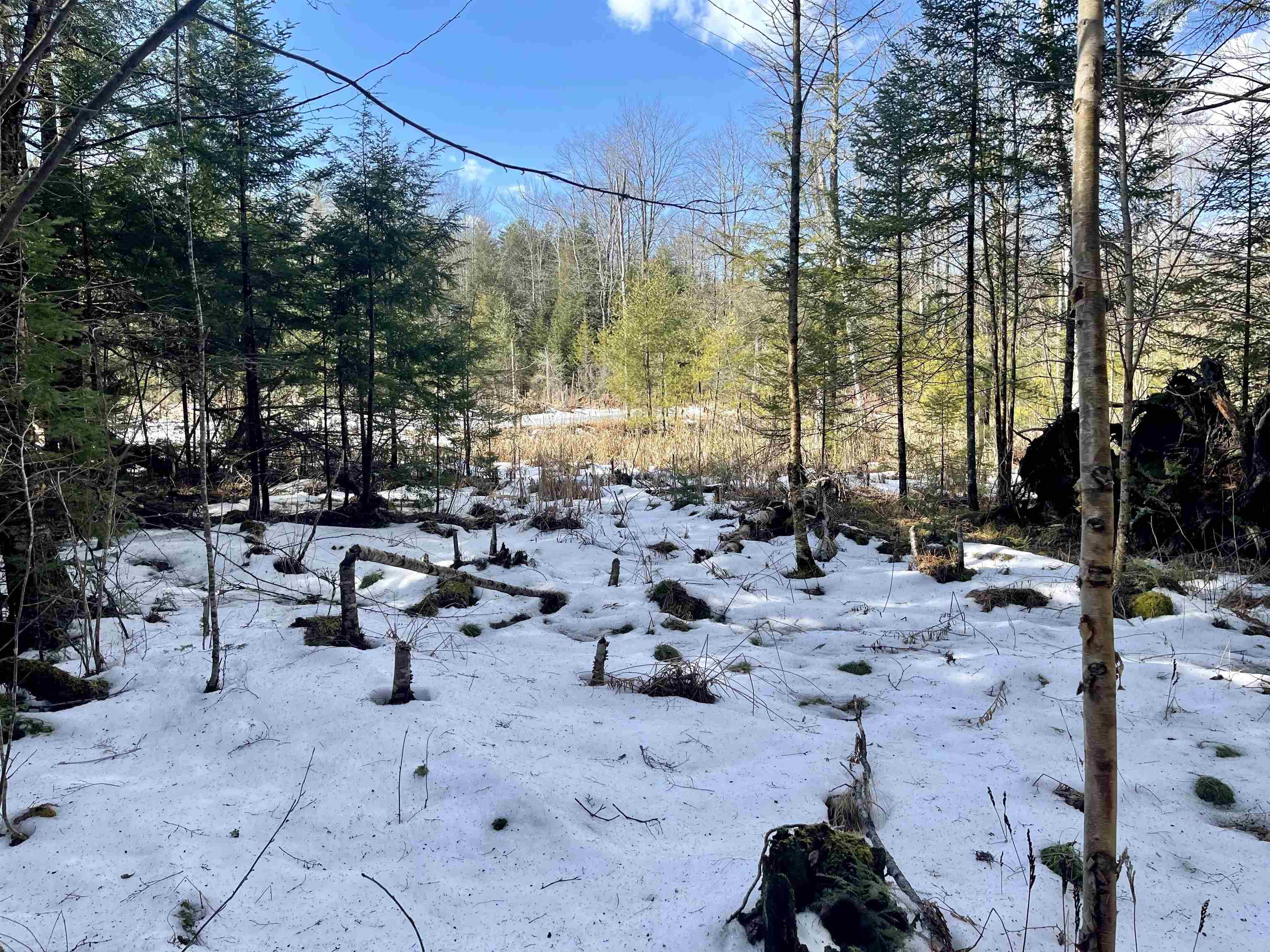 0 Simonds Road Woodsville, NH 03785 - Photo 8 of 10