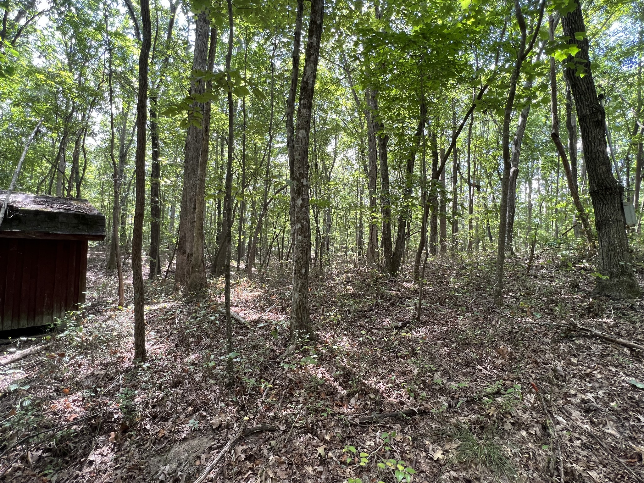 691 Gudger Road Sewanee, TN 37375 - Photo 17 of 21 Gallery Image 17