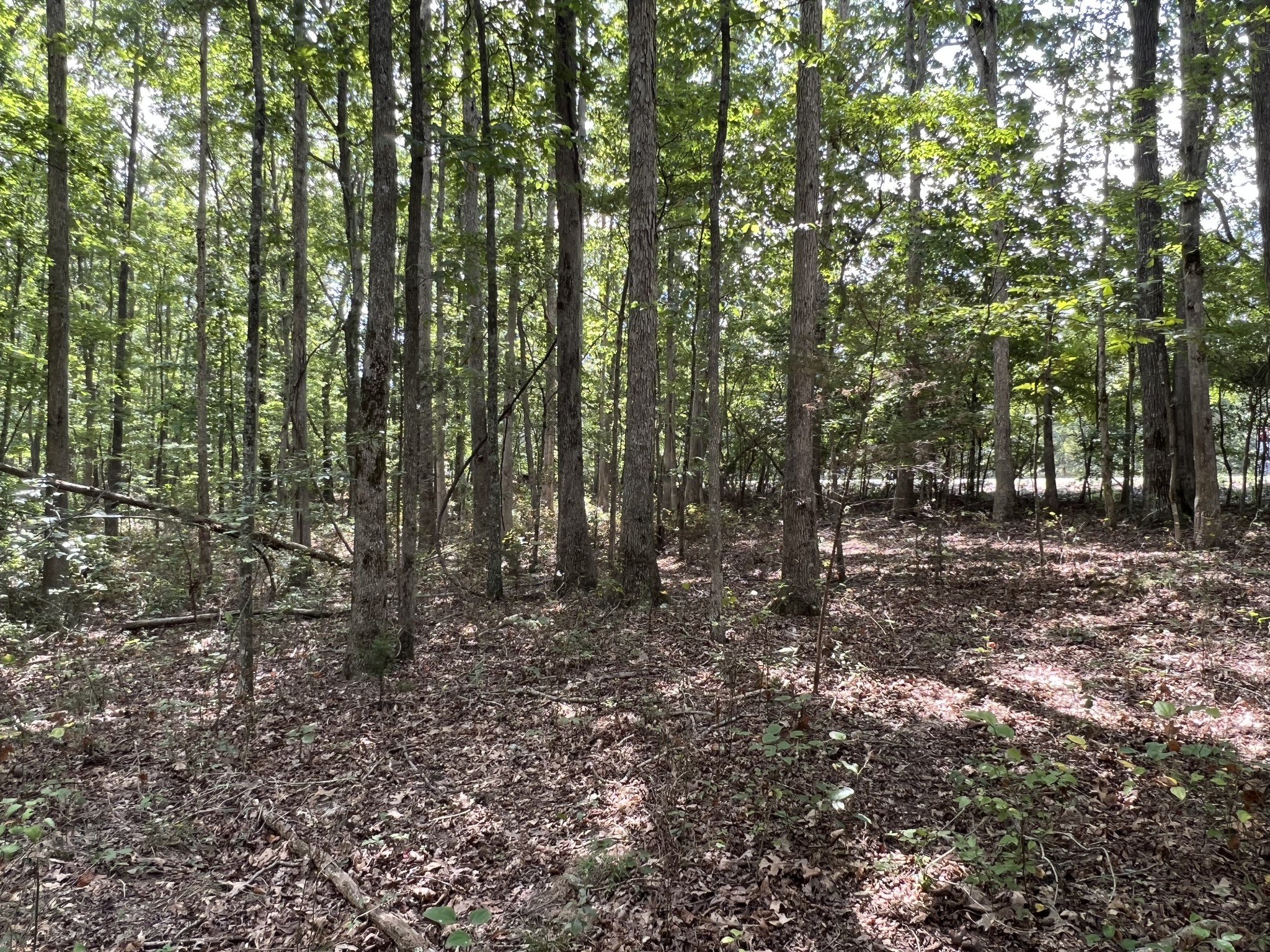 691 Gudger Road Sewanee, TN 37375 - Photo 18 of 21 Gallery Image 18