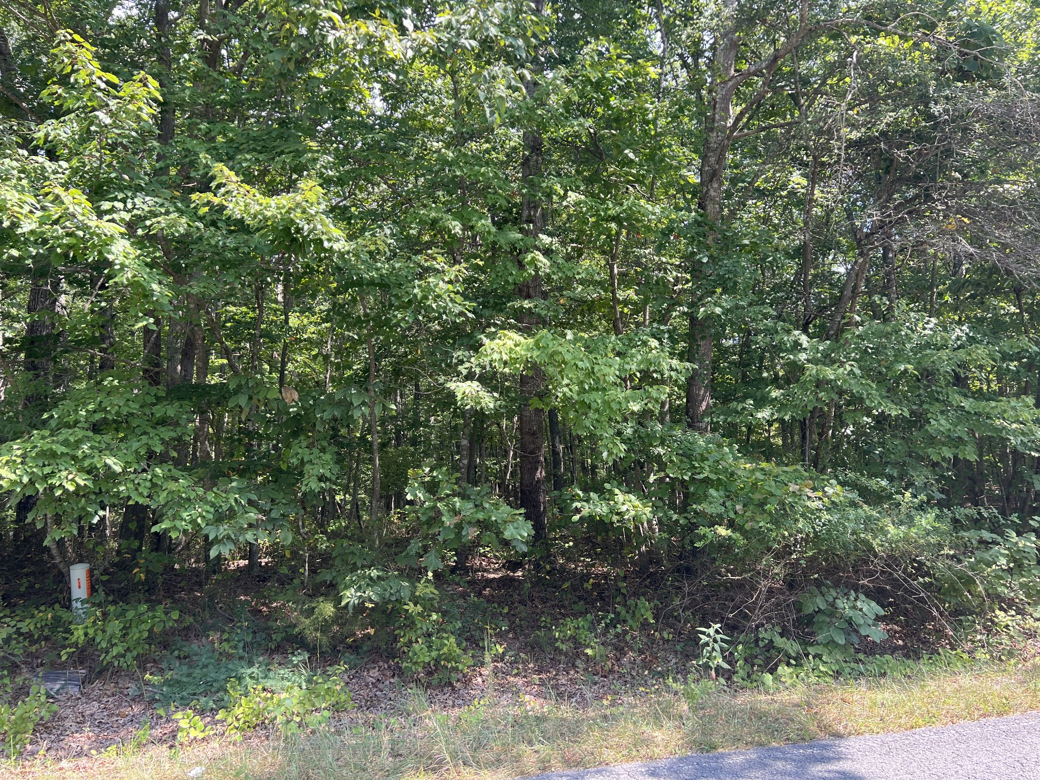 691 Gudger Road Sewanee, TN 37375 - Photo 20 of 21 Gallery Image 20