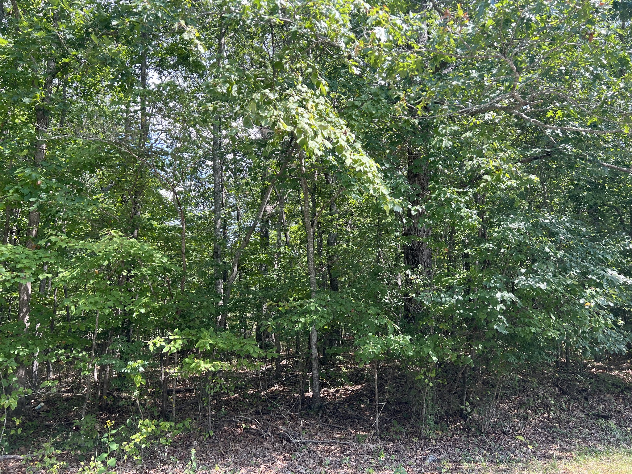 691 Gudger Road Sewanee, TN 37375 - Photo 21 of 21 Gallery Image 21
