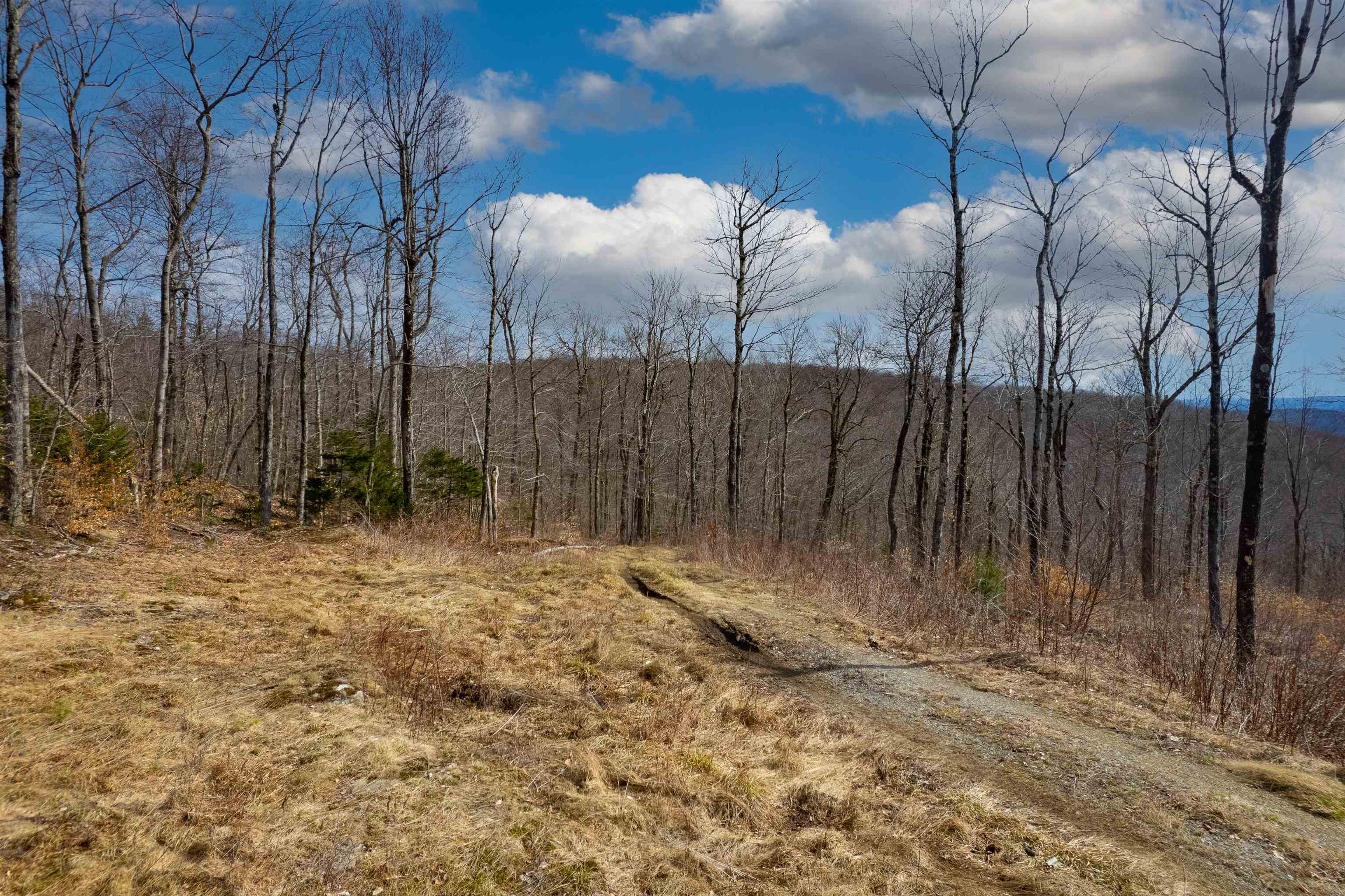 0 Chapel Hill Road, Unit 2 Sharon, VT 05065 - Photo 11 of 21