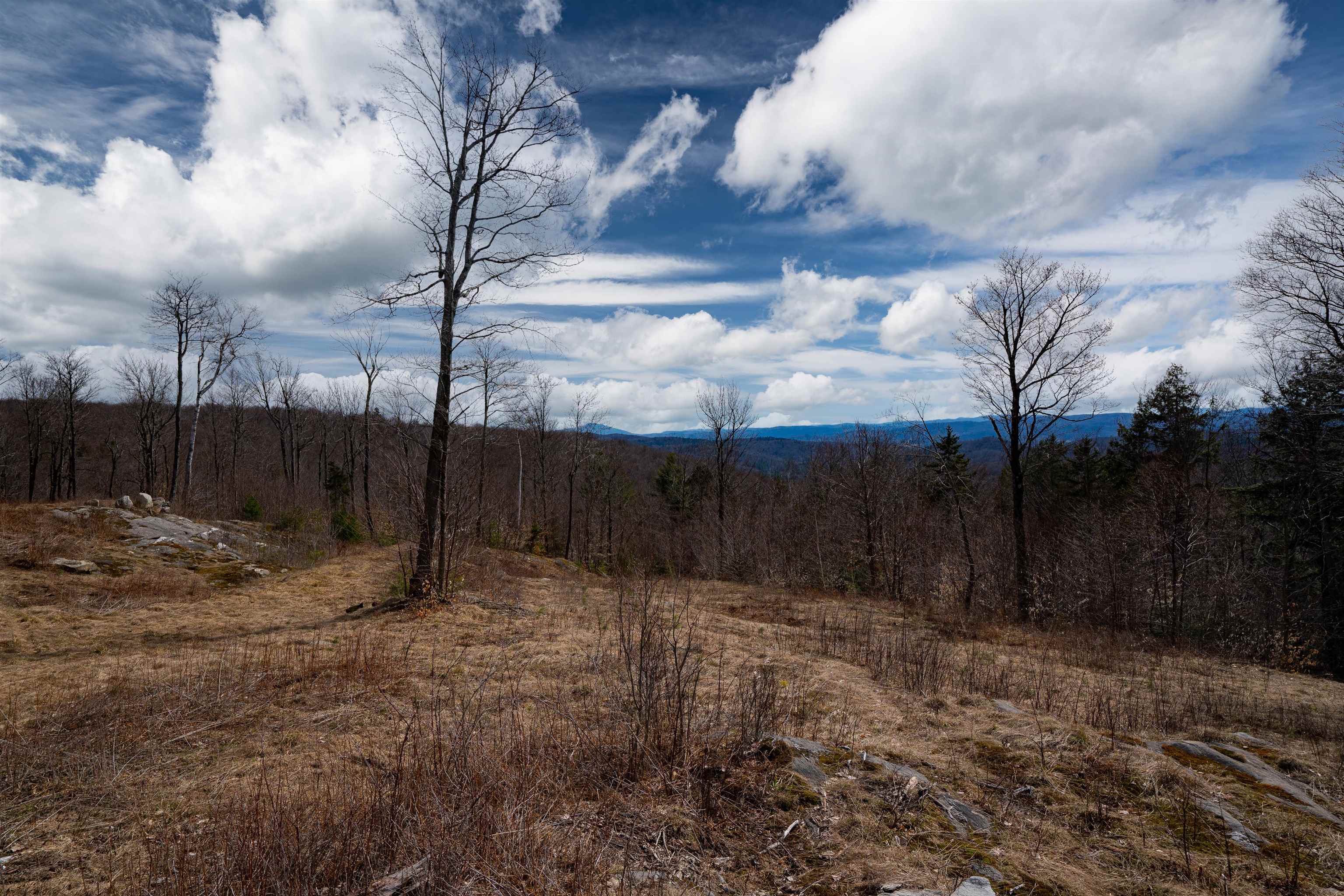 0 Chapel Hill Road, Unit 2 Sharon, VT 05065 - Photo 13 of 21