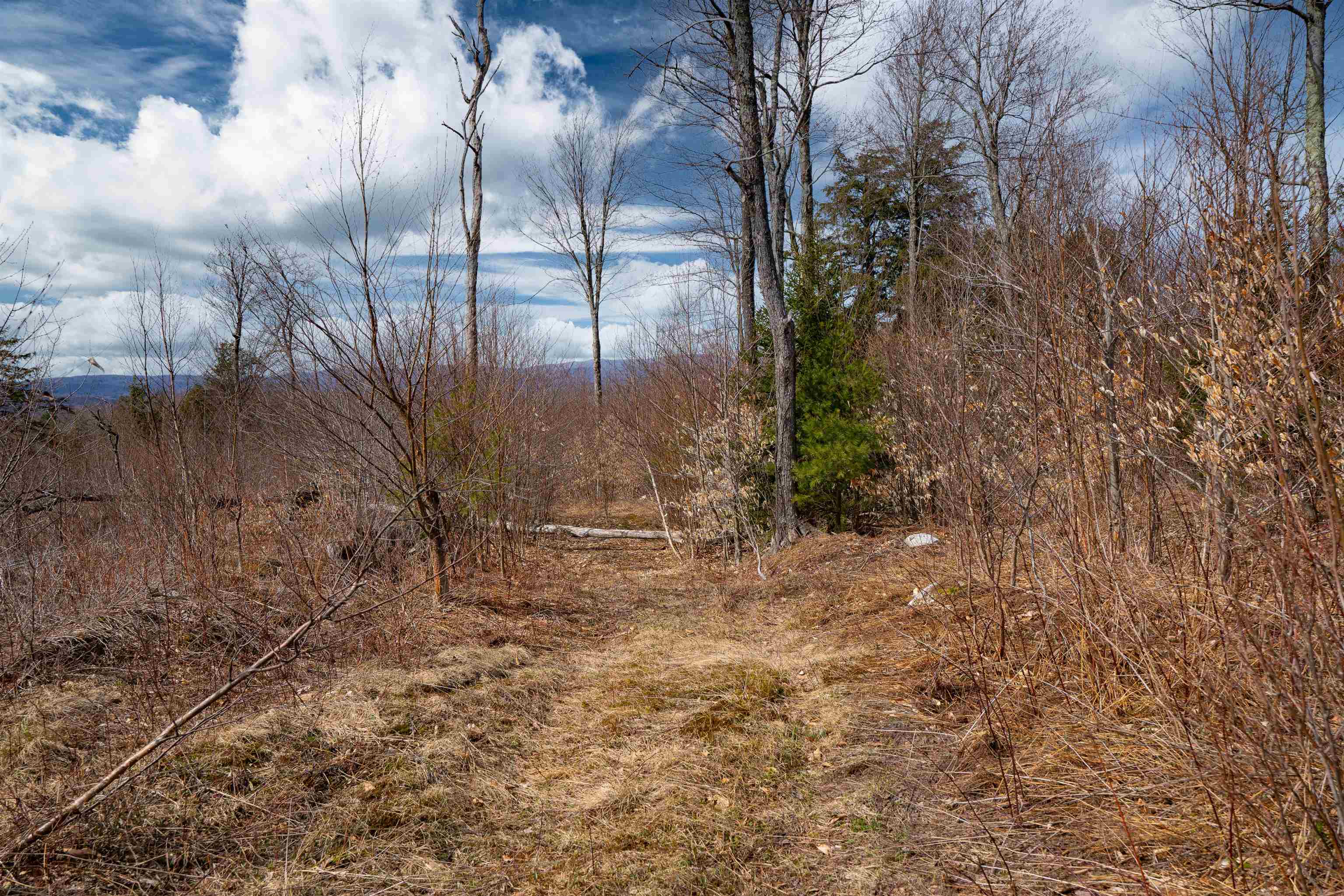 0 Chapel Hill Road, Unit 2 Sharon, VT 05065 - Photo 17 of 21