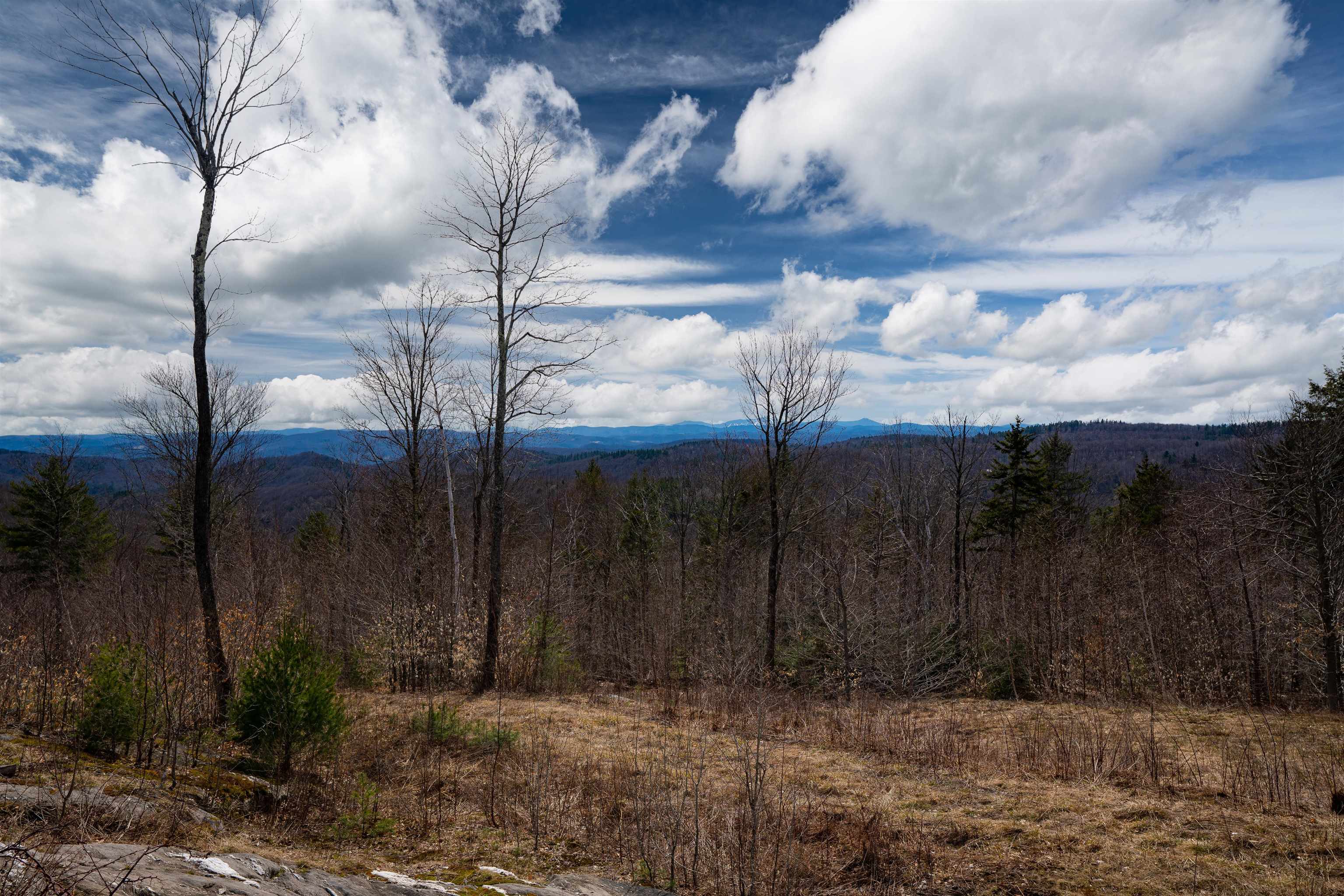 0 Chapel Hill Road, Unit 2 Sharon, VT 05065 - Photo 5 of 21