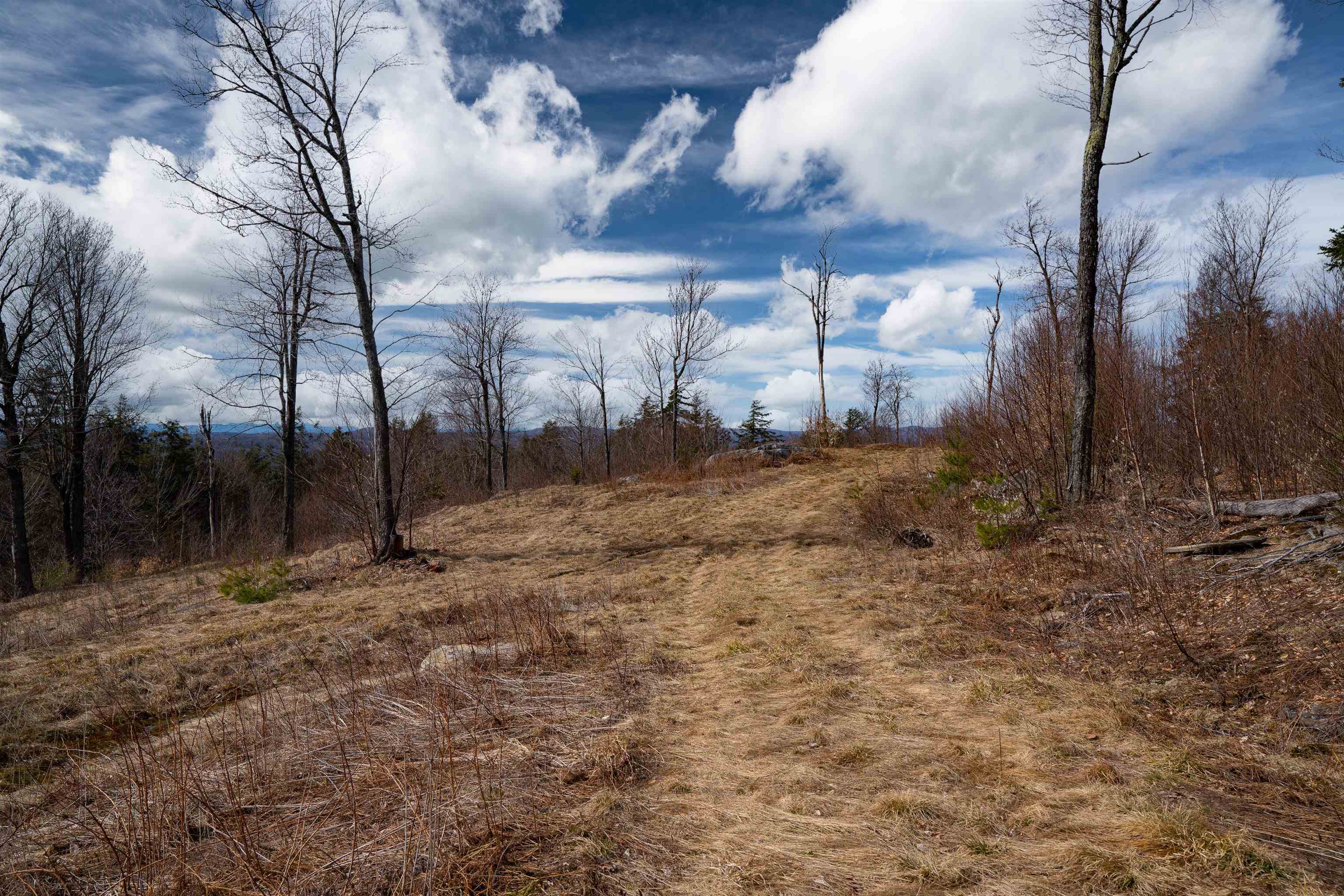 0 Chapel Hill Road, Unit 2 Sharon, VT 05065 - Photo 8 of 21