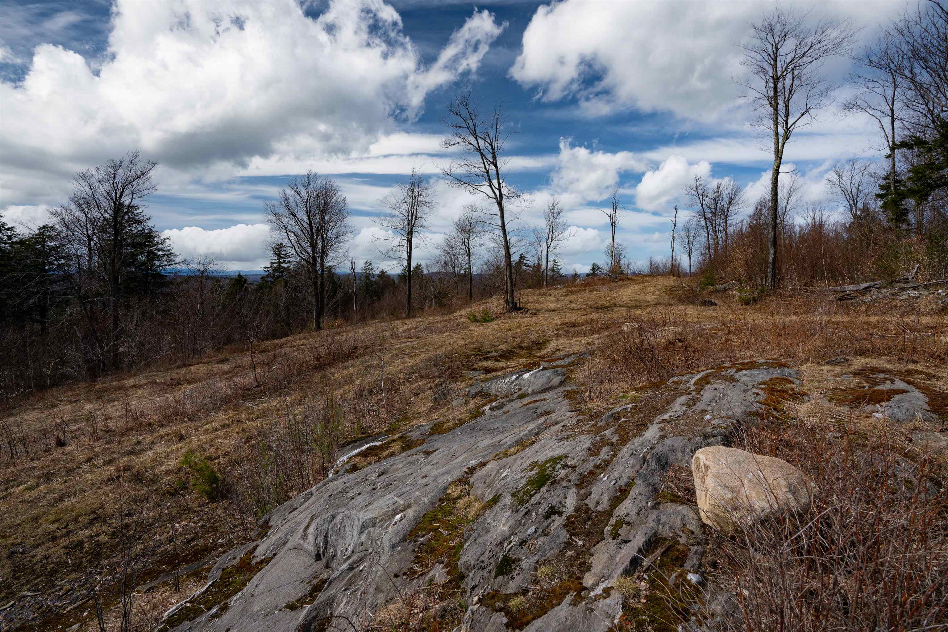 0 Chapel Hill Road, Unit 2 Sharon, VT 05065 - Photo 10 of 21