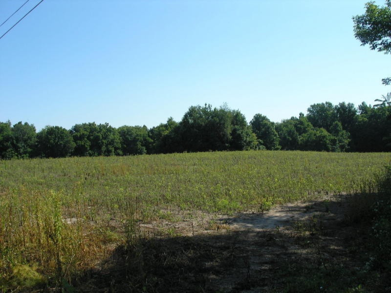 Union Rd