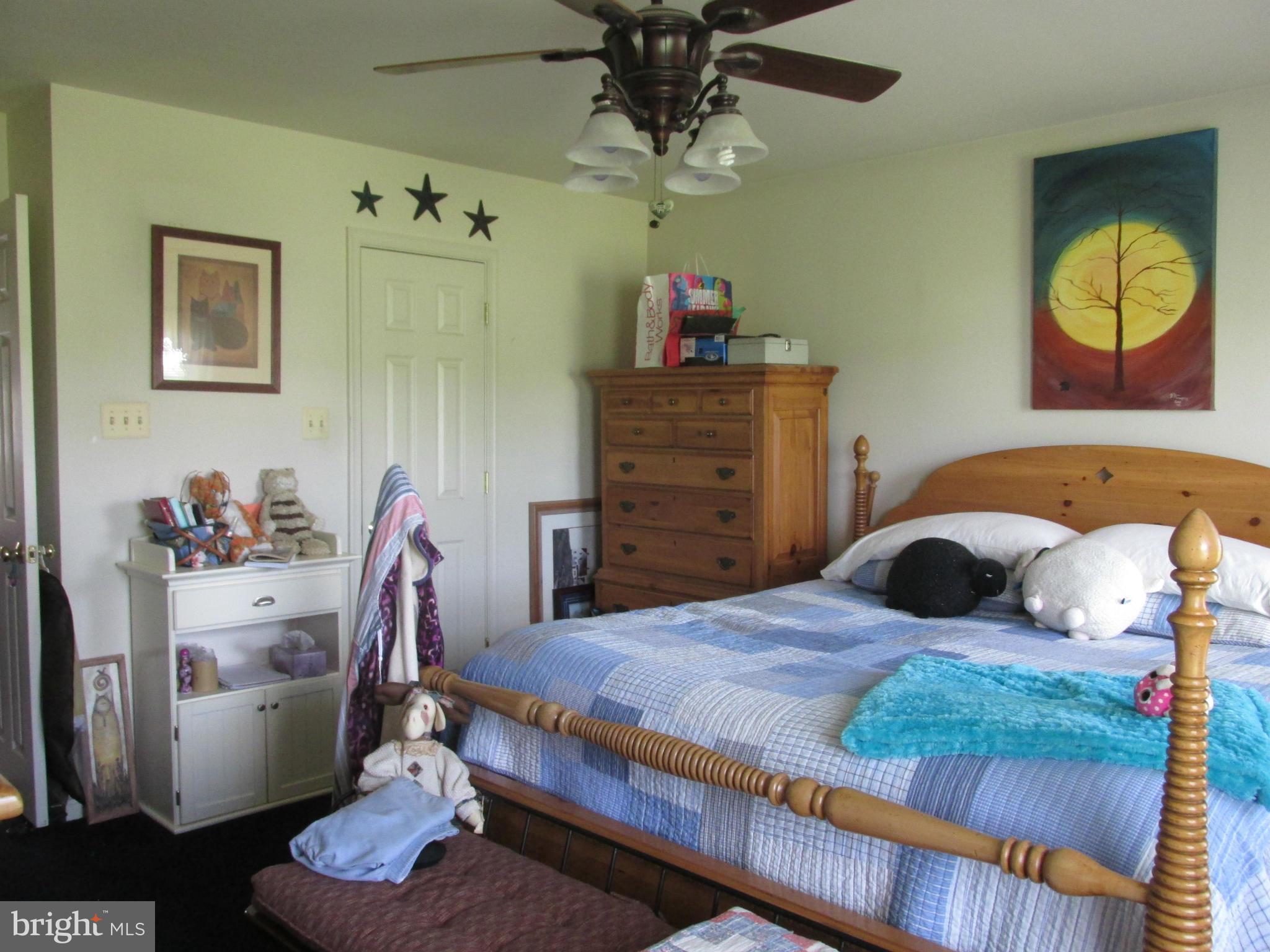 6600 Ridge Road Hurlock, MD 21643 - Photo 12 of 16 Bedroom (Master)