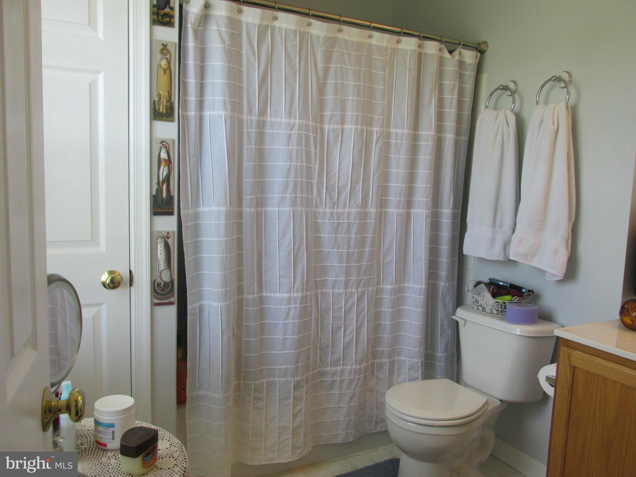 6600 Ridge Road Hurlock, MD 21643 - Photo 10 of 16 Bath (Master)