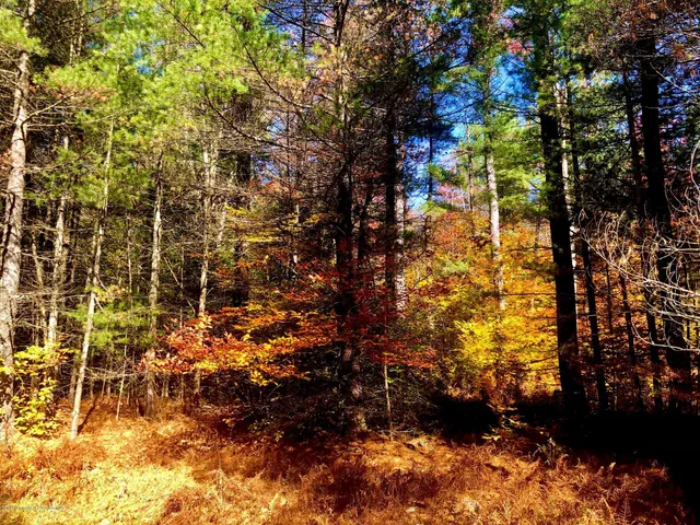 a view of outdoor space and trees