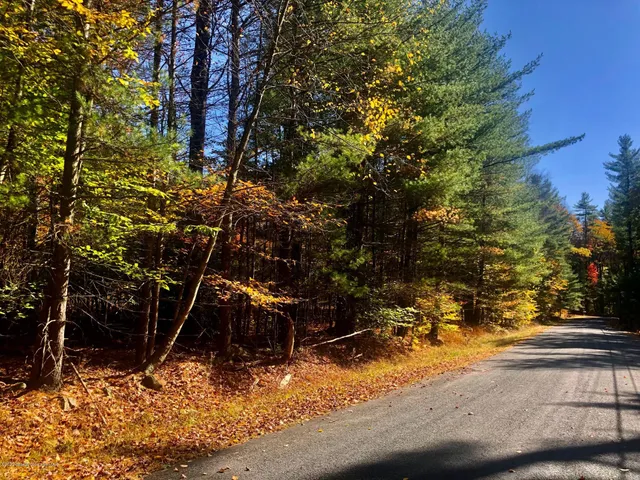 a view of a tree next to a lake