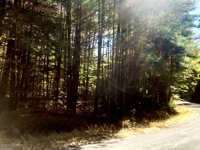 a view of a book shelf