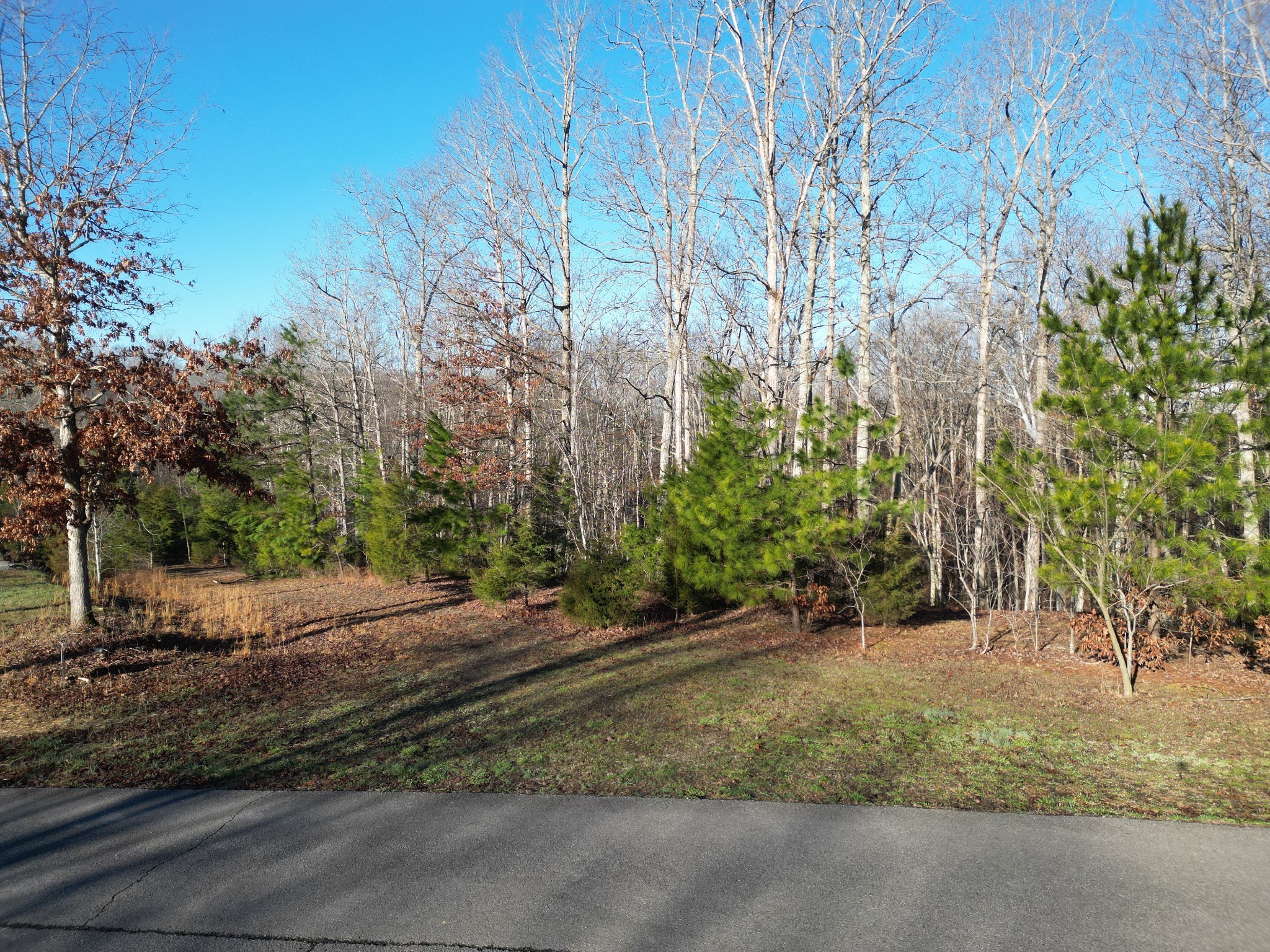 0 Red Fox Run Nunnelly, TN 37137 - Photo 1 of 11 a view of a yard with large trees