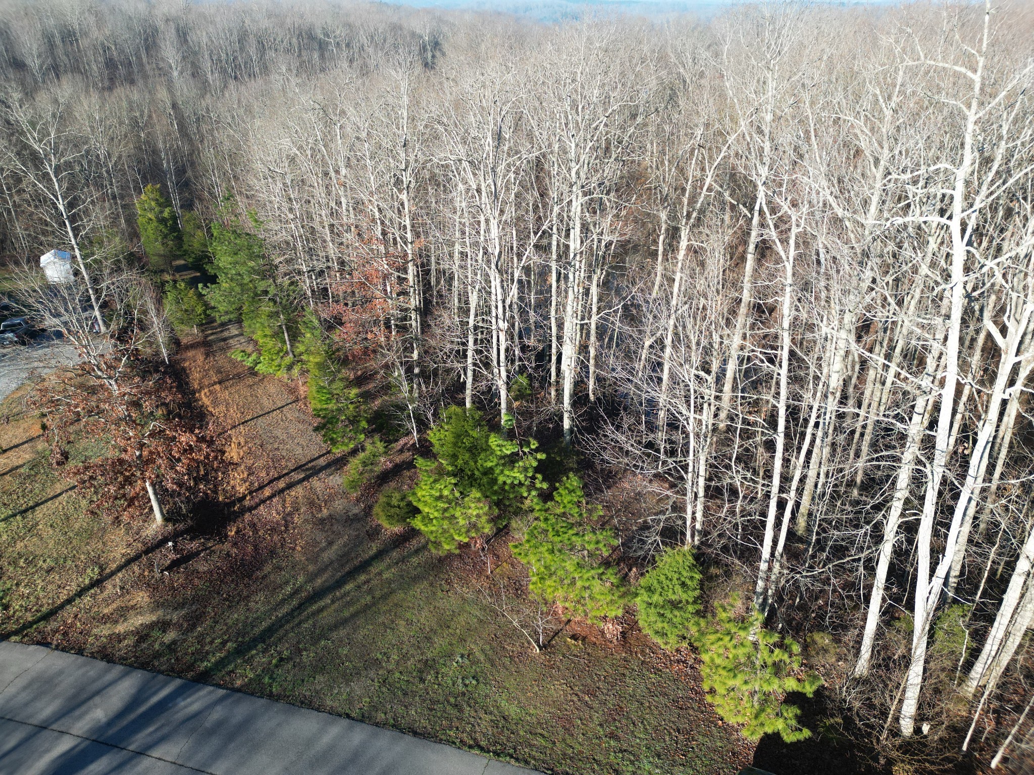 0 Red Fox Run Nunnelly, TN 37137 - Photo 2 of 11 a backyard of a house with lots of green space